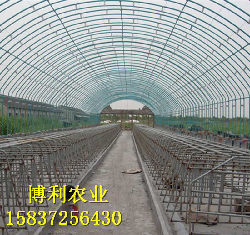 大棚蔬菜種植常見(jiàn)問(wèn)題詳解！